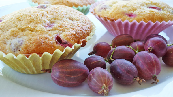 MUFFIN MIT STACHELBEERE