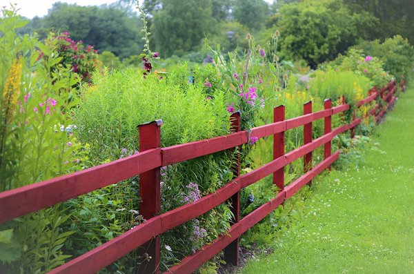 BLOMSTRENDE HAVE