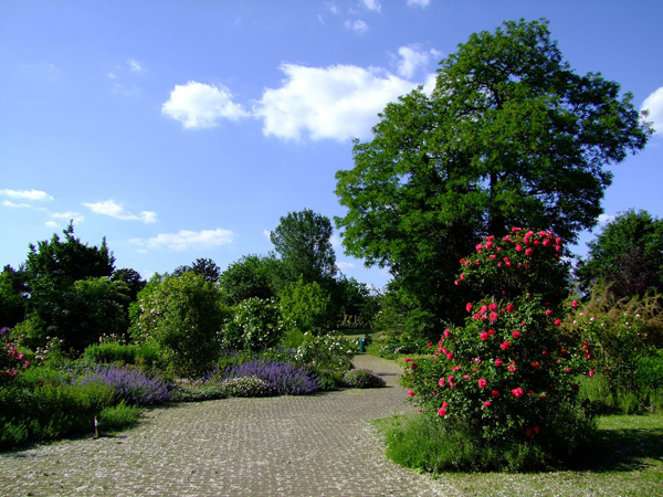 BOTANISK HAVE