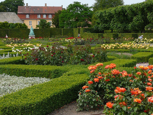 ROSE GARDEN