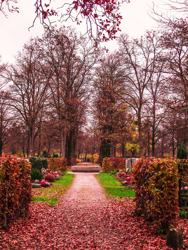 PARK IN THE AUTUMN