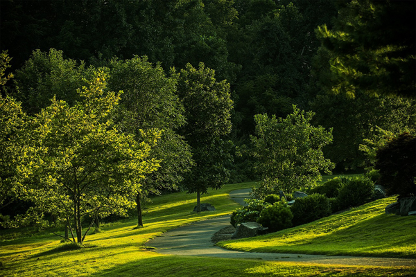 PARK WIOSNĄ