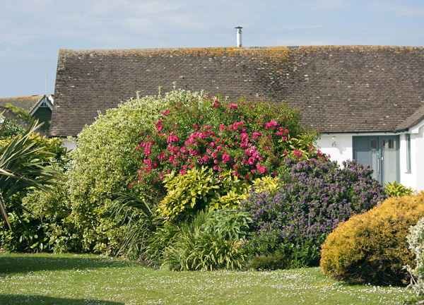 HOME GARDEN