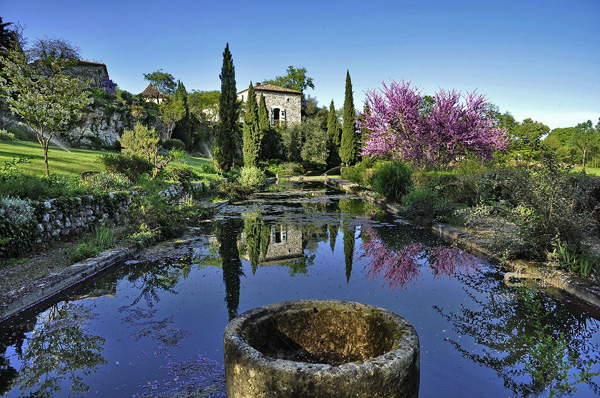 POND IN THE GARDEN