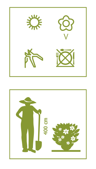 17642