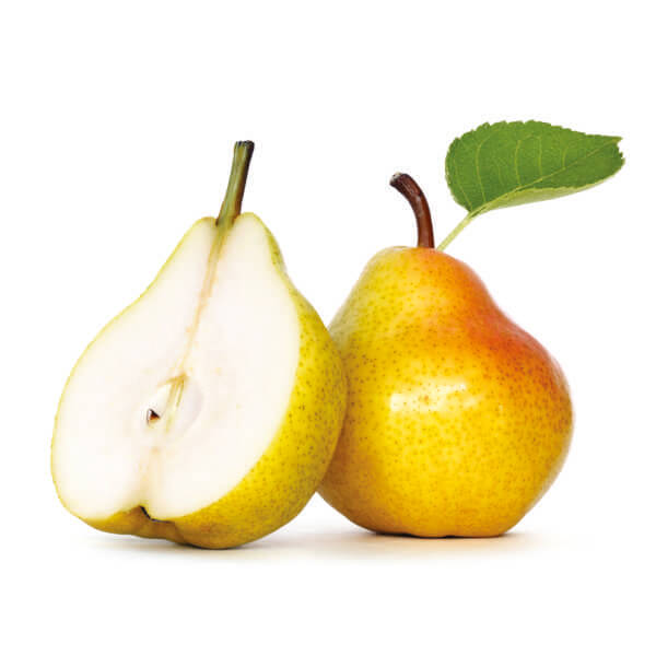  Brzoskwinia Prunus persica "Reliance"