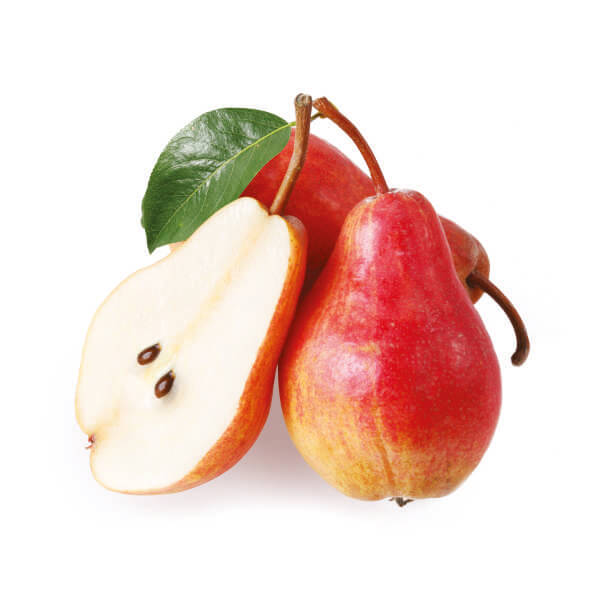  Brzoskwinia Prunus persica "Reliance"
