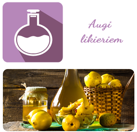 AUGI LIĶIERIEM