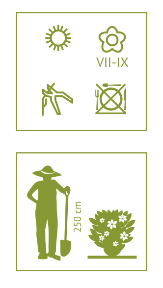 14105
